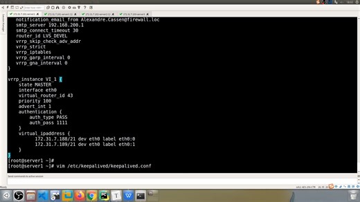 keepalived配置简介及单个虚拟机路由器实现