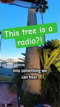 This Device can listen to Secret Sounds of the World! #SomaEther #radio #electromaganetism