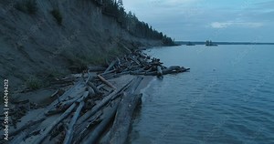 Drone Flight over Many Drowned Trees. Collapse of High Coast of Sea. Erosion. Water Washes the Shore. Clay Coast of Sea. Waterlogging. Trunks of Trees Fallen into Water. Fly over the Waterfront