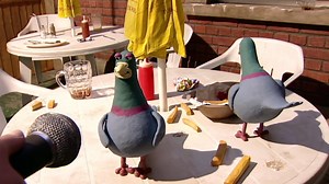 Feeding Time Creature Comforts Part 2 (HD)