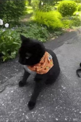 made a gmod machinima version