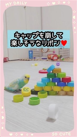 《キャップを崩して楽しむリボン🤗》