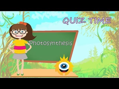 Quiz Time l Photosynthesis l Science for Kids