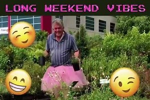 Hello Hello Plants 🌱 1477 Sydney Rd, Campbellfield 😃🌸 OPEN ALL WEEKEND 9am - 5pm🌸 Up to 50% off 💜 Sale ends Monday 5pm 🎉 (03)9359 3331 🦜 | Hello Hello Plants & Garden Supplies