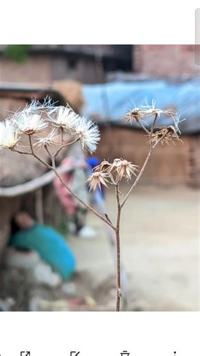 LMC 8.4 r17 camera testing #camera #cameratest