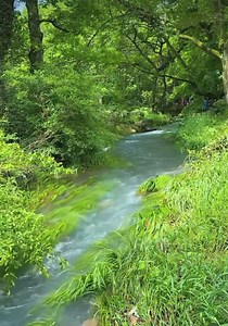 🌿🌾🍃🌾🌿🌾🍃 | Nature