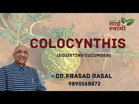 My Experiences with Colocynthis