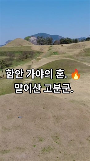 카페 영상말고 근교 가볼만한 곳을 추천합니다. 함안 고분. 아라가야의 왕릉. #함안가볼만한곳 #함안군 #함안여행 #함안데이트 #함안드라이브 #케렌시아