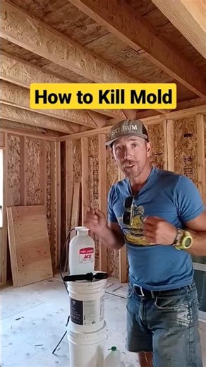 How to Kill Mold