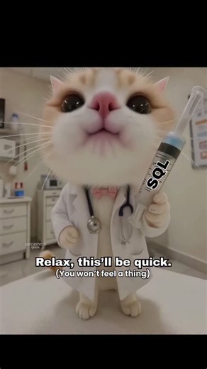 A K | SQL injection... . .. #softwaredeveloper #softwareengineer #itmemes #engineers #techmemes #programmingmemes #corporate | Instagram