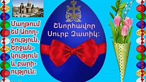 animation.gif (14).mp4