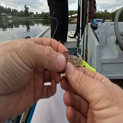 Rig Your Bait Like This To Catch More Fish Salt Strong Power Prawn #saltstrong #fishing #outdoors