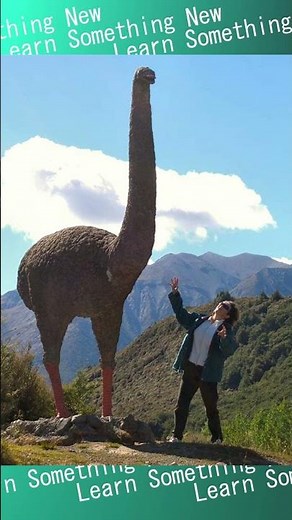 The Mighty Moa: New Zealand's Giant Flightless Bird