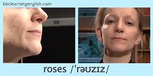 30K views · 442 reactions | What do roses and music have in common? Watch this pronunciation video to find out! | BBC Learning English | Facebook
