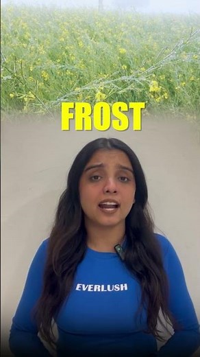 Triticale: The Powerful Hybrid of Wheat & Mustard! 🌾✨ Agriculture Students Must Watch