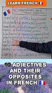 10 adjectives and their opposites in French  | Learn New French Vocabulary with Moh and Alain  #french #learnfrench #aprenderfrances #frenchwords #frenchlanguage #frenchvocabulary | OuiTeach & French Becomes Easy | Facebook
