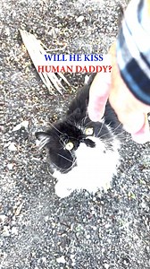 Will he or won't he? Cyrus deciding whether to kiss💋human daddy or not 😹 | Cyrus