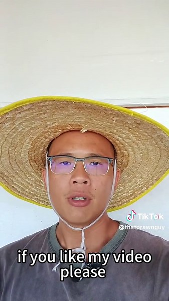 Can Prawns Survive Out of Water? Facts Revealed!