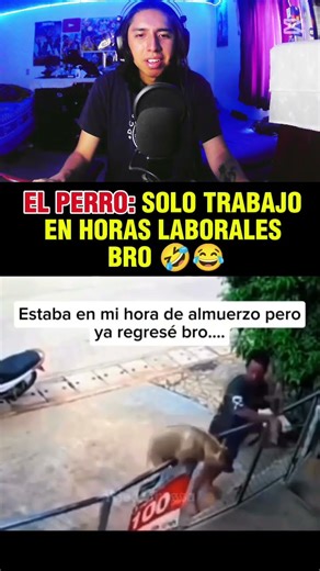 The Dog: Wait bro, I'm on my break time 🤣😂 #humor #pets #dogs #laughs #shorts #memes