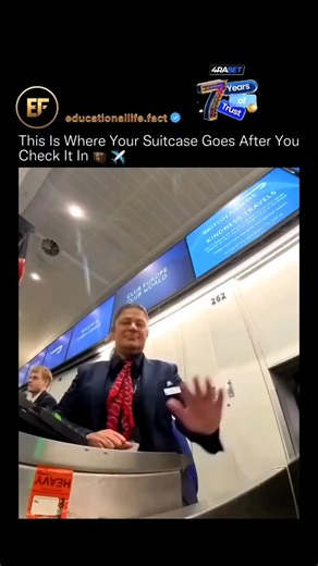 educationallife.fact on Instagram: "The second you let go of your suitcase, it disappears into a hidden, fully automated underground world most travelers never see. 🧳 🕳️ From check-in, the bag is scanned, weighed, and assigned a digital identity using barcodes and RFID tags. It then drops onto high-speed conveyor belts running beneath the terminal, where scanners, X-ray machines, and routing systems process thousands of bags per hour without stopping. Automated diverters sort each suitcase by 