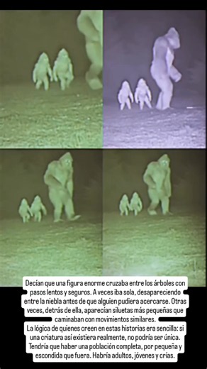 Decían que una figura enorme cruzaba entre los árboles con pasos lentos y seguros. A veces iba sola, desapareciendo entre la niebla antes de que alguien pudiera acercarse. Otras veces, detrás de ella, aparecían siluetas más pequeñas que caminaban con movimientos similares. La lógica de quienes creen en estas historias era sencilla: si una criatura así existiera realmente, no podría ser única. Tendría que haber una población completa, por pequeña y escondida que fuera. Habría adultos, jóvenes y c