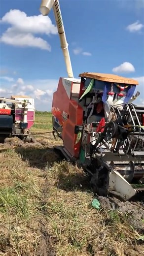 Rice Harvesters Locked in a Tough Pull Battle in the Field #farming #automobile #agriculture