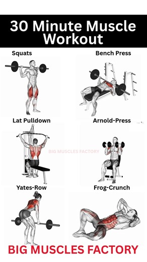 Push Pull Legs Workout | 30 Min Full Body Workout for Muscle Growth | #shorts #viral #pushpulllegs