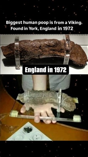 How PAGE? on Instagram: "Largest Known Human Poo Belongs To 9th Century Vikings measuring 20cm long and 5cm wide, the human poo, also known as large paleofaeces or 'The Lloyds Bank coprolite', may be the largest one in the world. It dates back to the 9th century and studies have suggested it belonged to a Viking man because York was formally a Viking settlement back in the 800s. The poo was discovered in the UK by archaeologists from the York Archaeological Trust in 1972 when they were excavatin