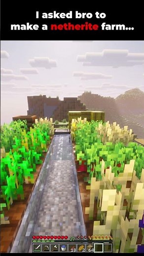 I asked bro to make a netherite farm...