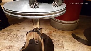 Fake gorilla and koala among new Spy in the Wild creatures