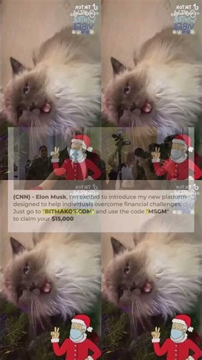 BEST CAT MEMES COMPILATION OF 2021 PART 38 FUNNY CATS 53s