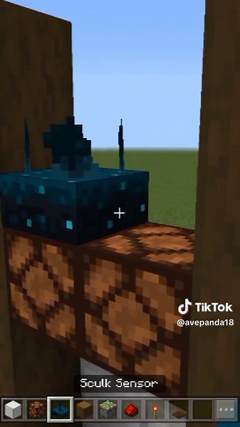 Build an Automatic Door in Minecraft: Step-By-Step Tutorial