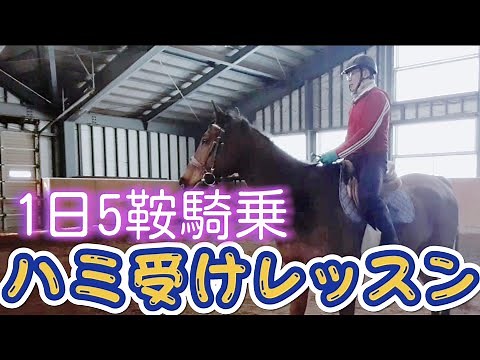 ハミ受けレッスン 乗馬 1日5鞍(207～211鞍目) ライディングヒルズ静内