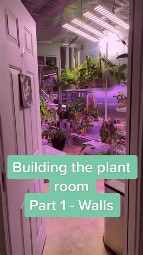 Building a Plant Room Part 1: DIY Indoor Greenhouse Walls