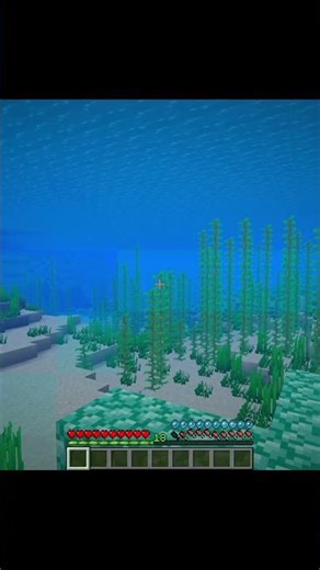 How to Use Conduits in Minecraft!