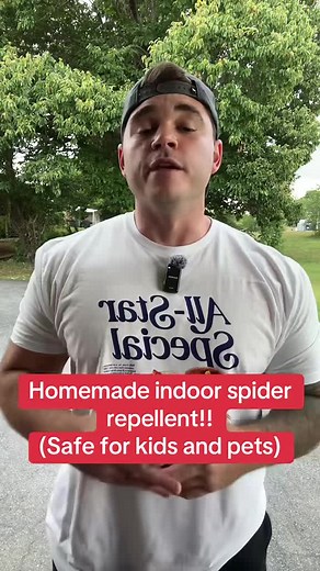 How to Make a Natural Spider Repellent at Home