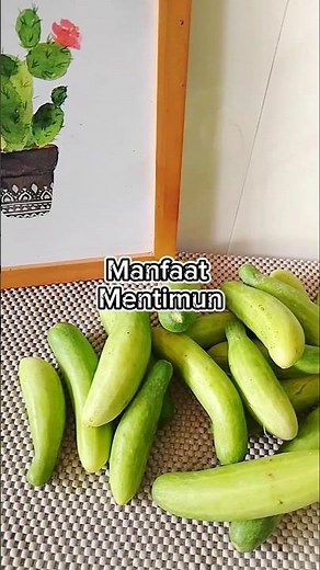 Manfaat Mentimun yang Jarang Diketahui ✨