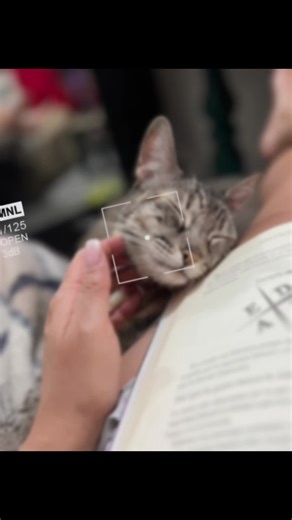 Videos de MELL (@melinamartinez4125) con “sonido original - Maxi Nievas”