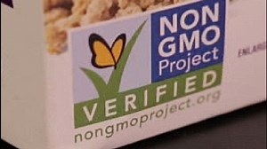 GMO labeling for food