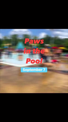 Cherokee County Aquatic Center is having Paws in the Pool September 7. #PlayCherokee 🐾❤️🌊🐕🐕‍🦺🐶🦴 | Cherokee County Aquatic Center
