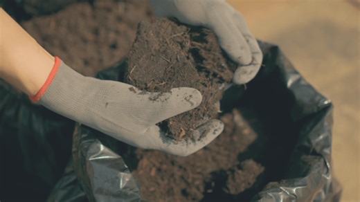 Oklahoma bill to legalize human composting advances at the state Capitol