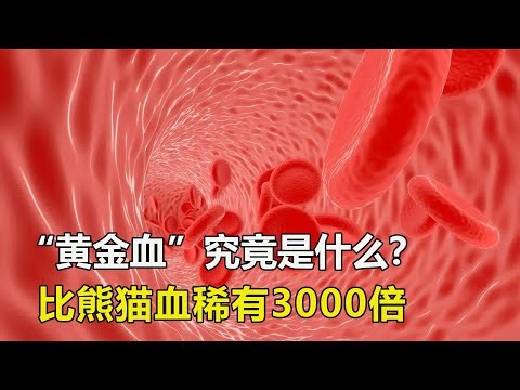 “黃金血”究竟是什么？比熊貓血稀有3000倍，全球僅有1例 #黄金血，稀有血型，生物冷知识，好奇心