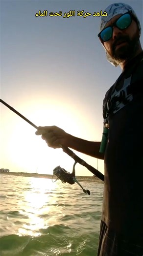 شاهد حركة اللور تحت الماء ||هكذا تستفذ السمك