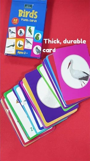 Birds Flash Cards for Kids | Learn Bird Names & Sounds | 32 Flash Cards Learning