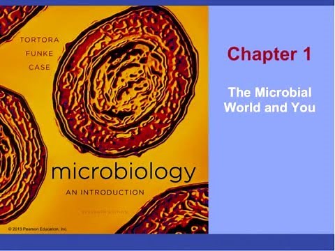 Microbiology Chapter 1: Part 1 of 2