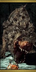 Royal Rat Authority | Dark Souls 2 Wiki