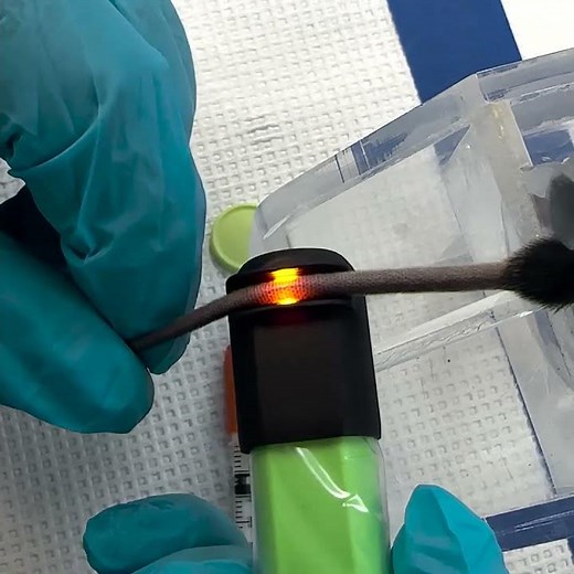 Easily find veins & arteries in lab rats and mice