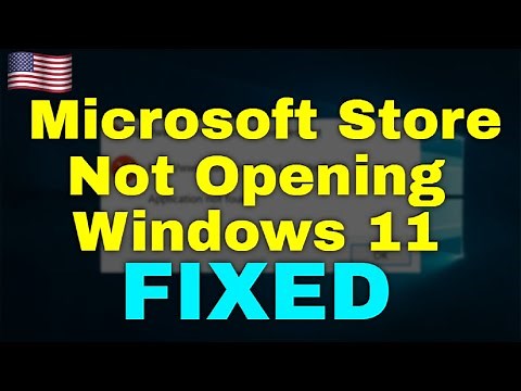 How to Fix Microsoft Store Not Opening Windows 11