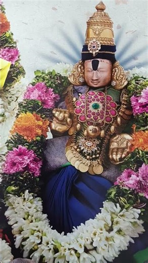 Today update on TTD tickets