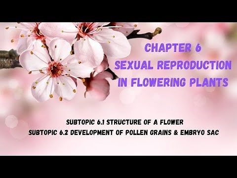 BIOLOGY FORM 5 KSSM : CHAPTER 6 (SUBTOPIC 6.1&6.2)